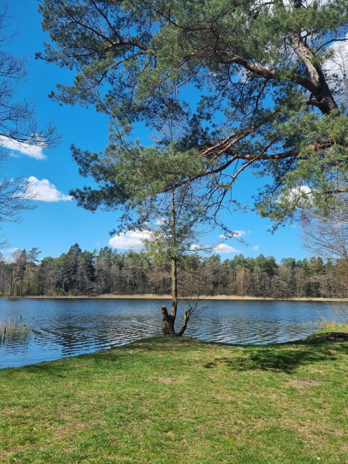 Dom Na Mazurach Villa Jerutki Kültér fotó